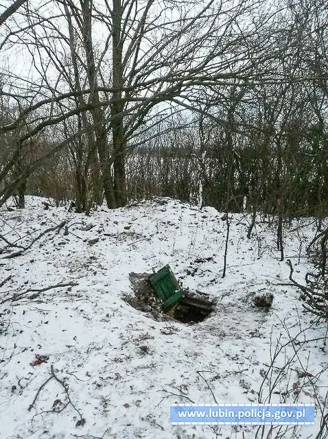 Wybudował ziemiankę, żeby… hodować marihuanę