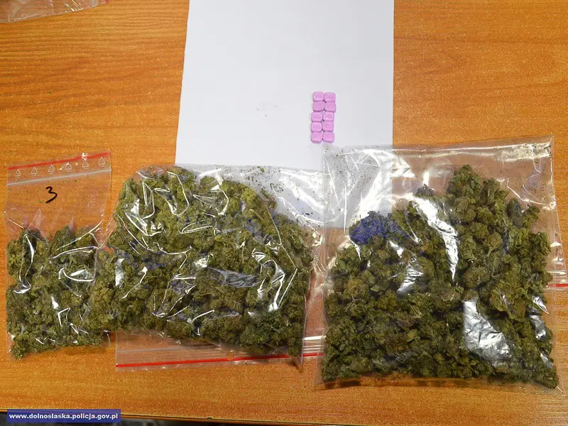 Wpadli z ecstasy, metamfetaminą i marihuaną. Razem mieli ponad 1,3 tys. porcji