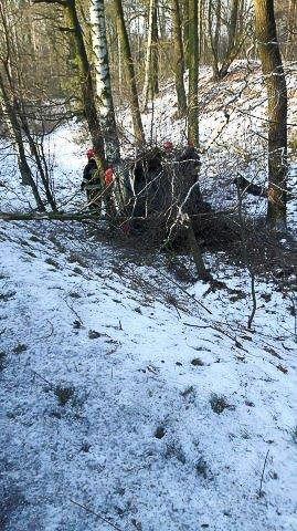 Renault wypadł z drogi i wpadł do rowu