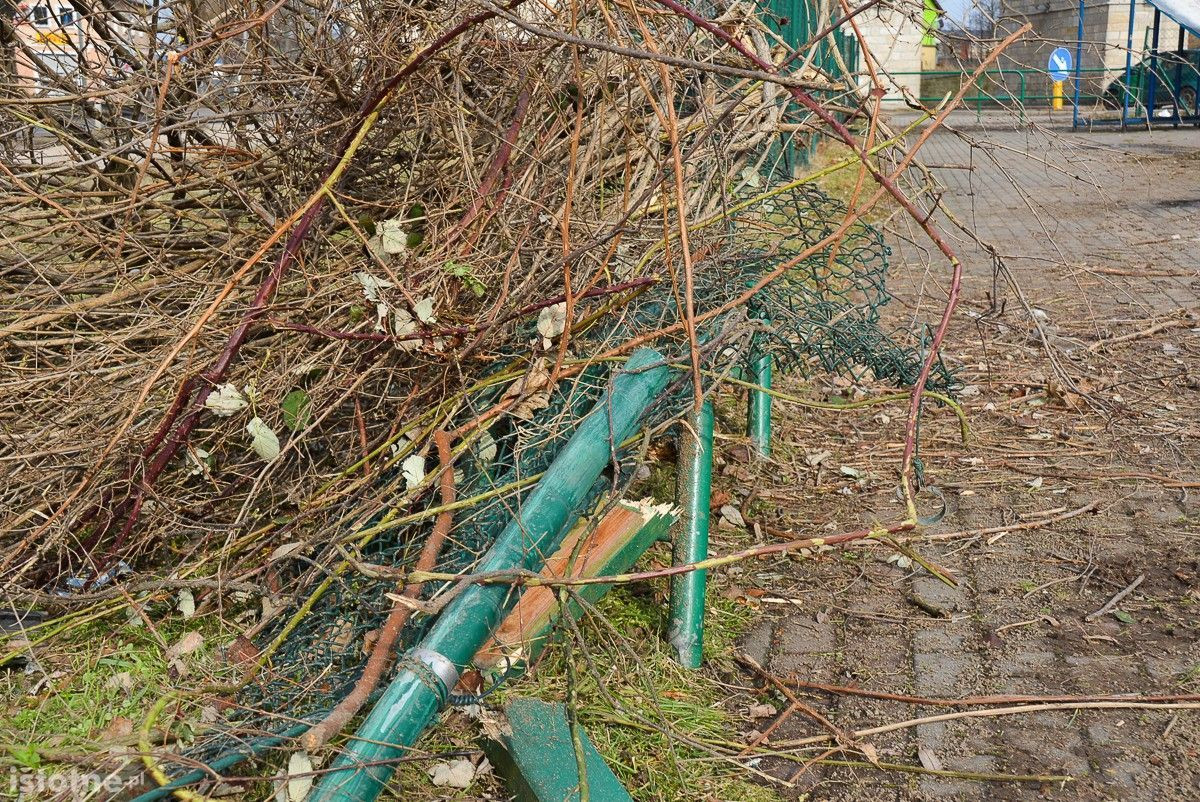 19-letni kierowca Forda wypadł z obwodnicy i staranował ogrodzenie skateparku