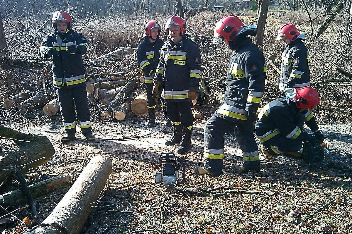 Porywisty wiatr powalił kilka drzew w Bolesławcu