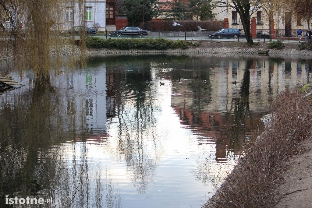 Spleśniałe pieczywo w stawie przy Łajbie
