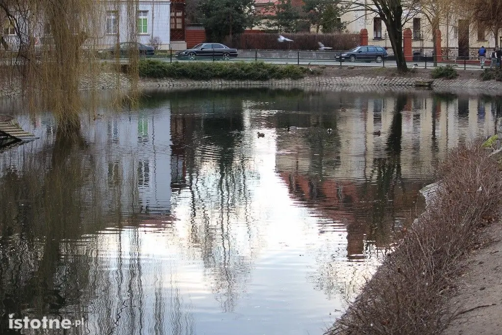 Spleśniałe pieczywo w stawie przy Łajbie