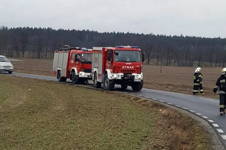 Drzewo przygniotło mężczyznę. Zabrał go śmigłowiec