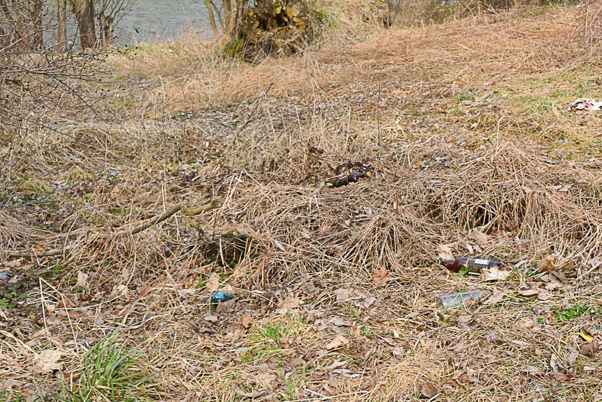 Urządzają pijatyki pod mostem na Mostowej