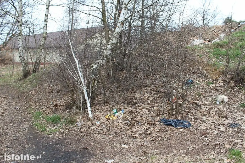 Odchody, puszki i butelki na terenach zielonych za Dino