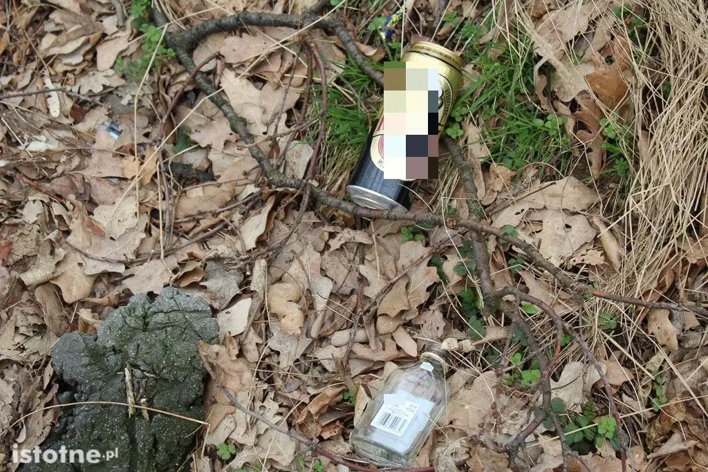 Odchody, puszki i butelki na terenach zielonych za Dino
