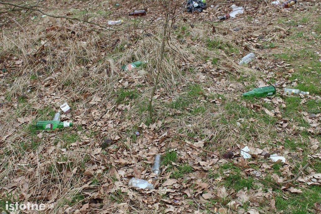 Odchody, puszki i butelki na terenach zielonych za Dino