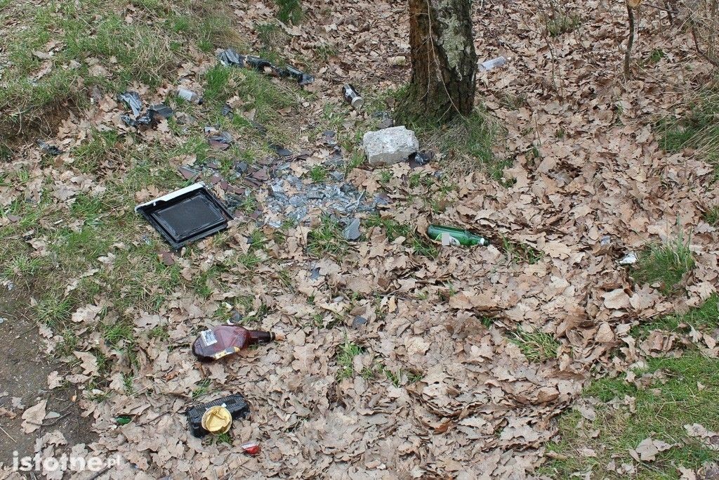Odchody, puszki i butelki na terenach zielonych za Dino