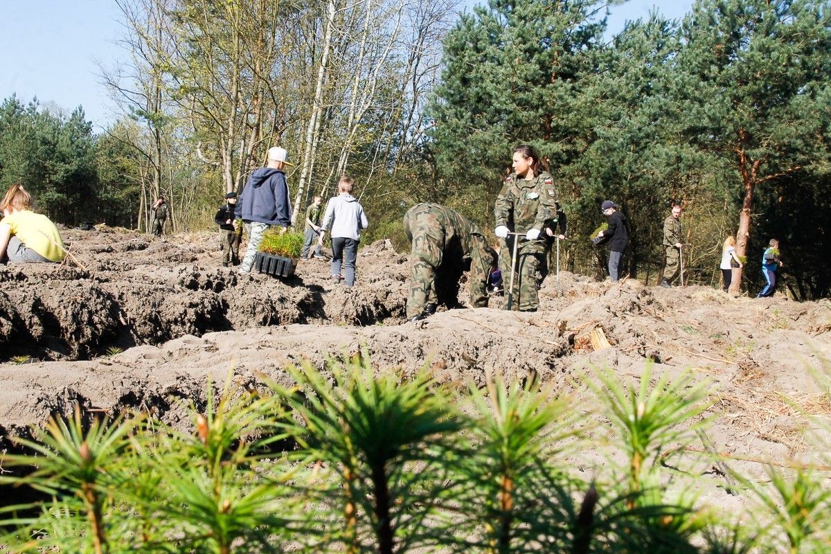 Pancerniacy i uczniowie wspólnie sadzili drzewa