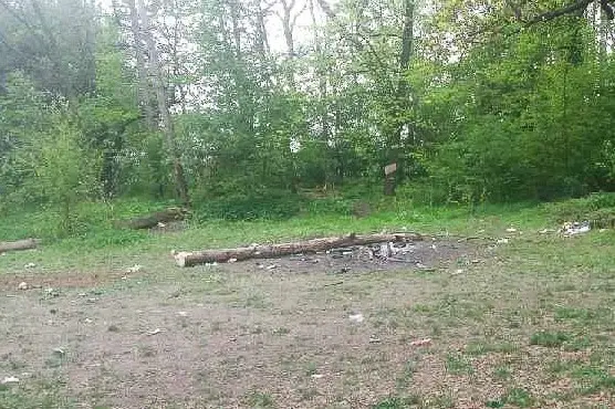 Brudasy i wandale w lasku na Piastów