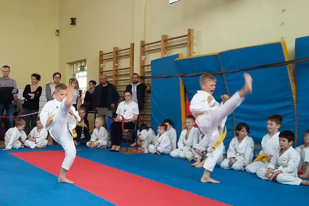 Karatecy TOP Bolesławiec z 12 medalami
