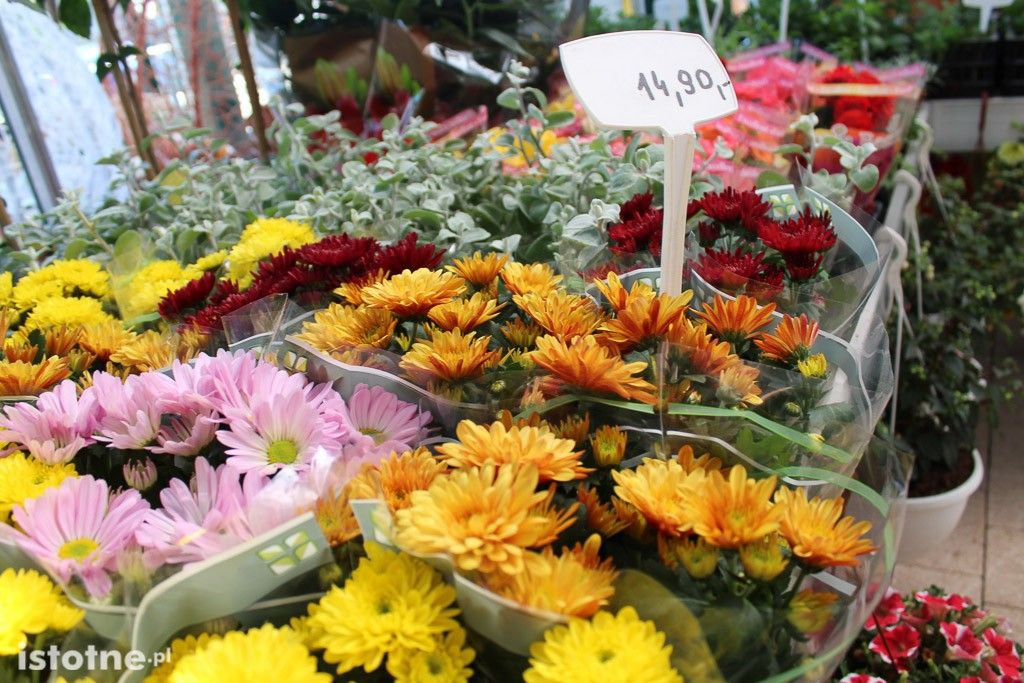 Nowa hala sprzedażowa Centrum Ogrodniczego Meduza otwarta