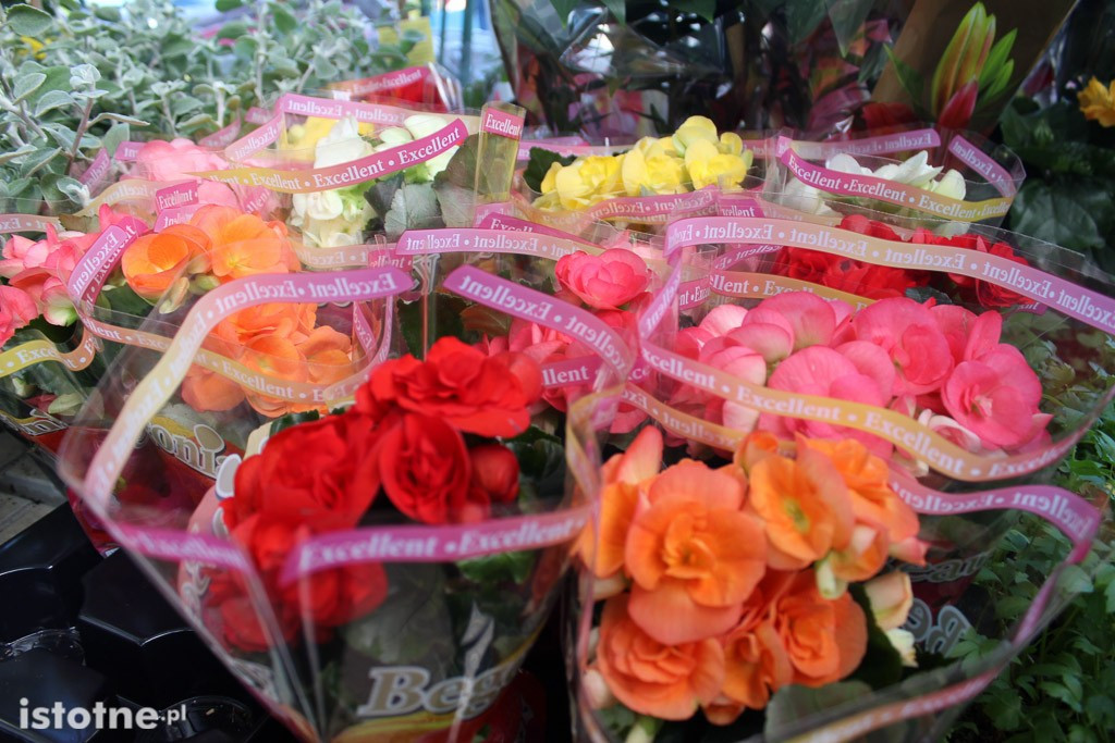 Nowa hala sprzedażowa Centrum Ogrodniczego Meduza otwarta