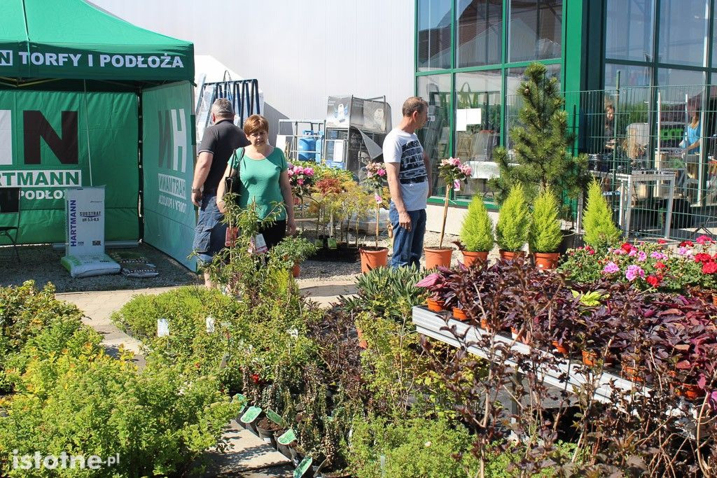 Nowa hala sprzedażowa Centrum Ogrodniczego Meduza otwarta