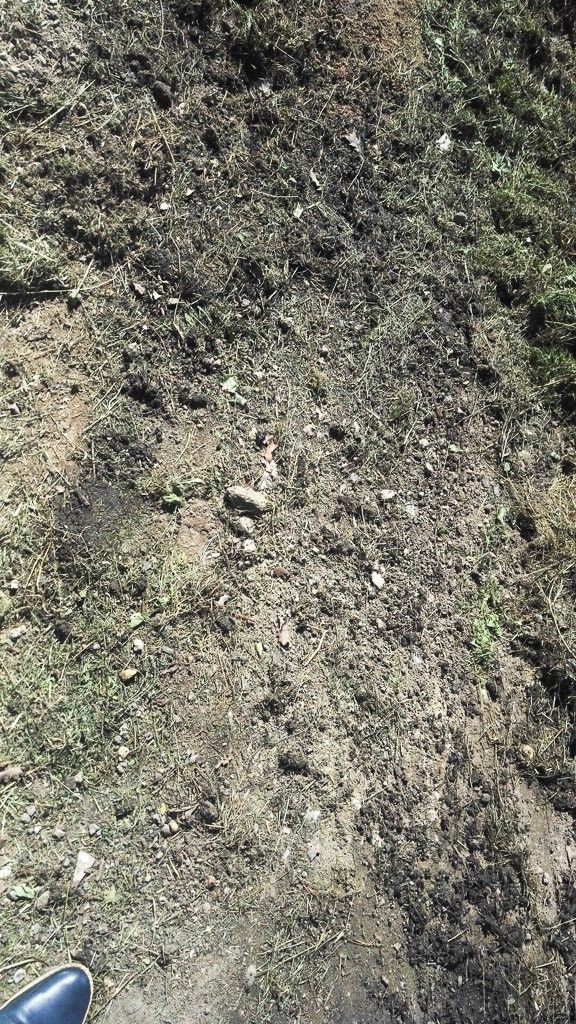 Potworny odór na Zabobrzu. Śmietnisko na prywatnej działce