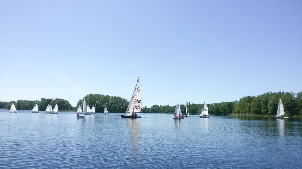 Żeglarze z Sail Swim z kompletem medali