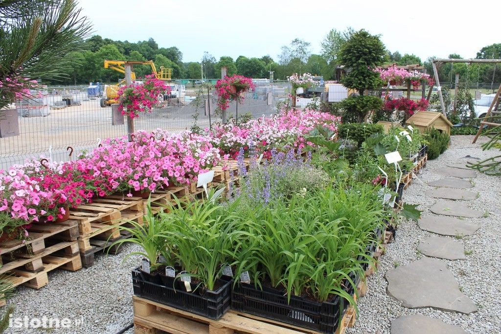 15 urodziny PSB Mrówka, przyjdź, możesz wygrać nawet BMW