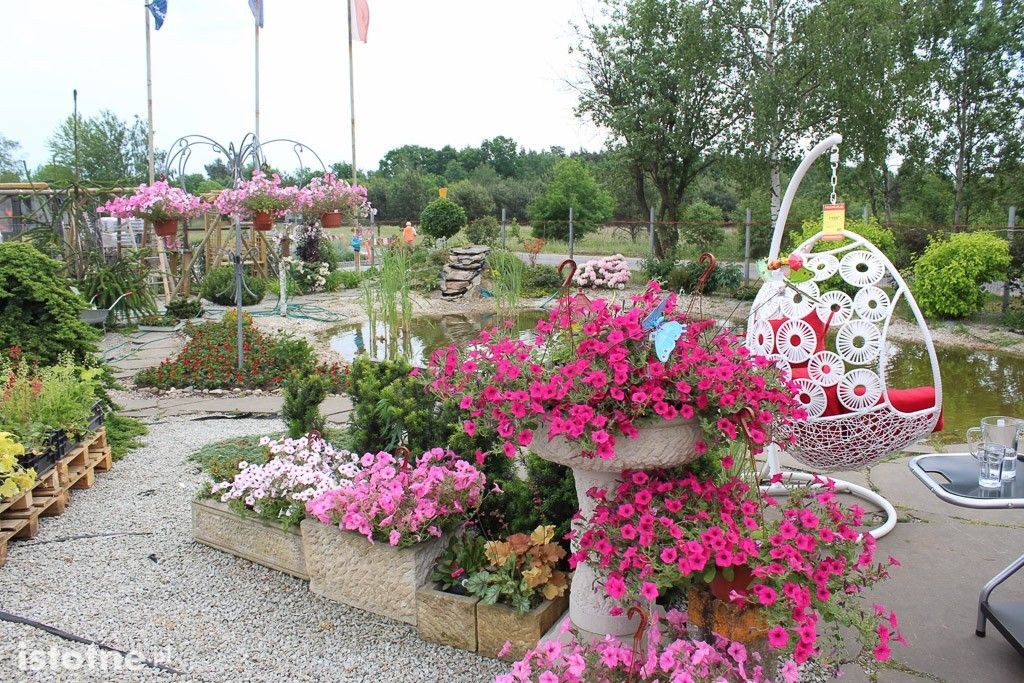 15 urodziny PSB Mrówka, przyjdź, możesz wygrać nawet BMW