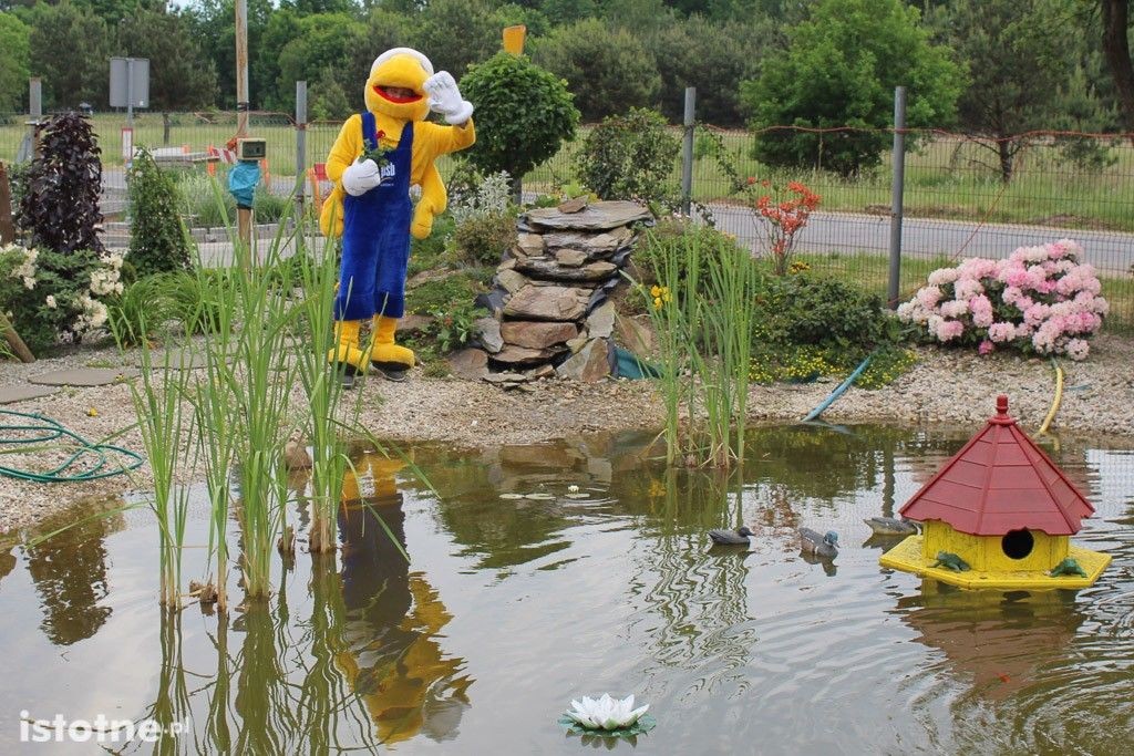 15 urodziny PSB Mrówka, przyjdź, możesz wygrać nawet BMW