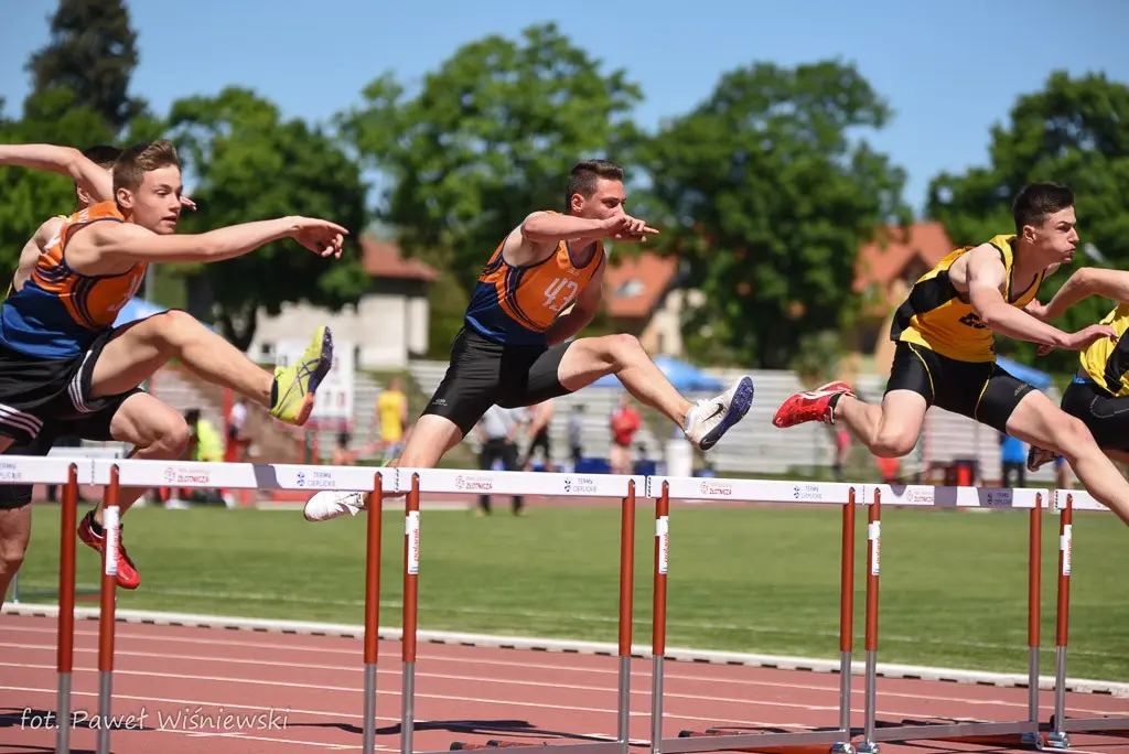 Bolesłavia z 24 medalami Mistrzostw Dolnego Śląska
