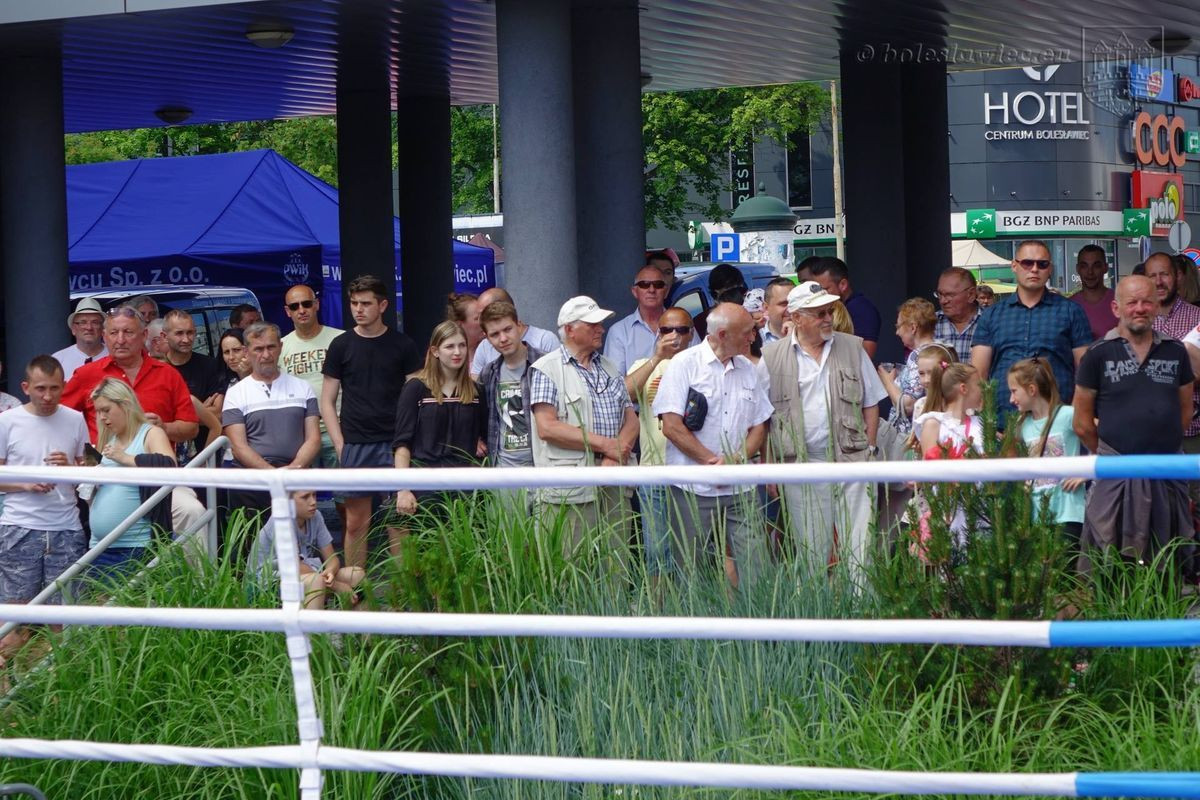 Boksowali o Puchar Prezydenta