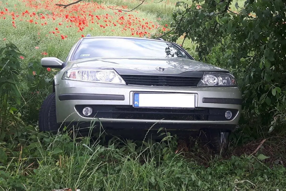 Bolesławianin uciekał przed policją, zderzył się z drzewem i wylądował w rowie