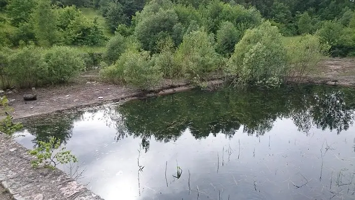 Strażnicy miejscy uratowali sarnę
