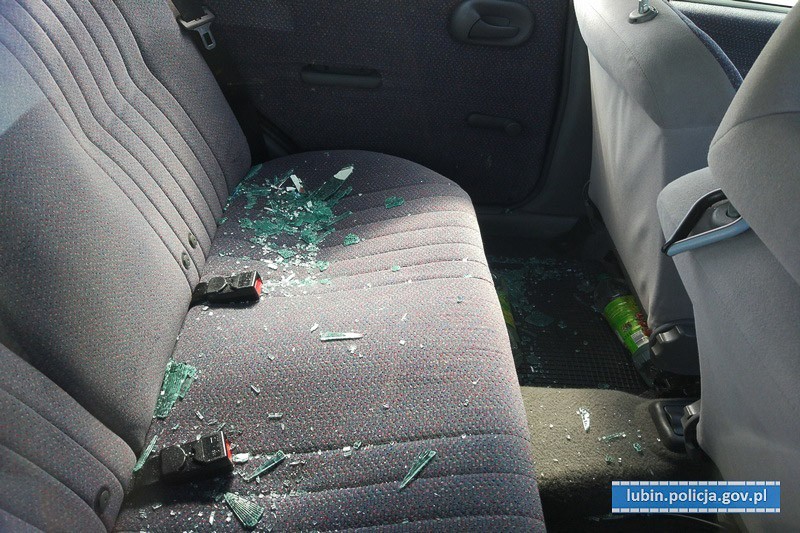 Zamknął 8 szczeniaków w bagażniku i poszedł na zakupy