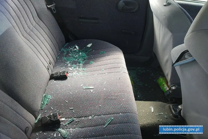 Zamknął 8 szczeniaków w bagażniku i poszedł na zakupy