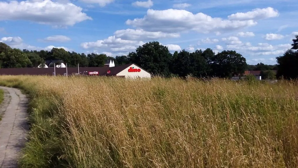 Chaszcze przy Dino irytują mieszkańców osiedla 40-lecia