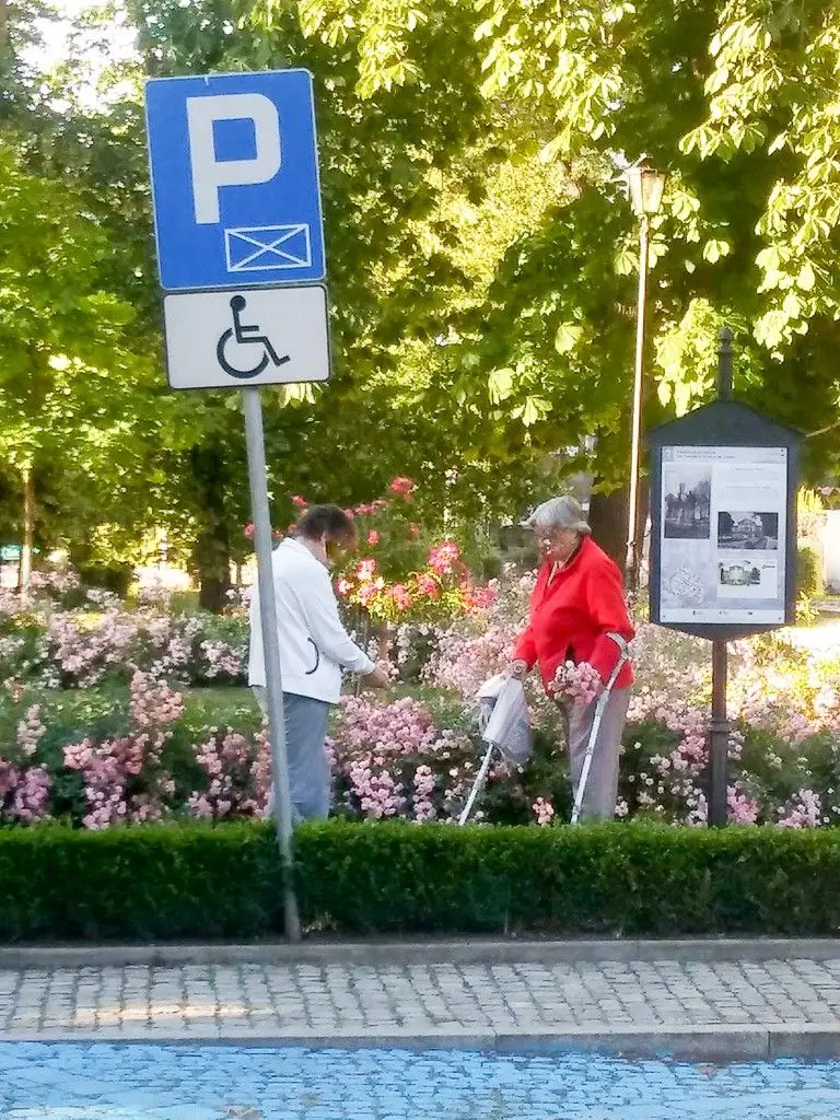 Kobiety kradną kwiaty przy Teatrze