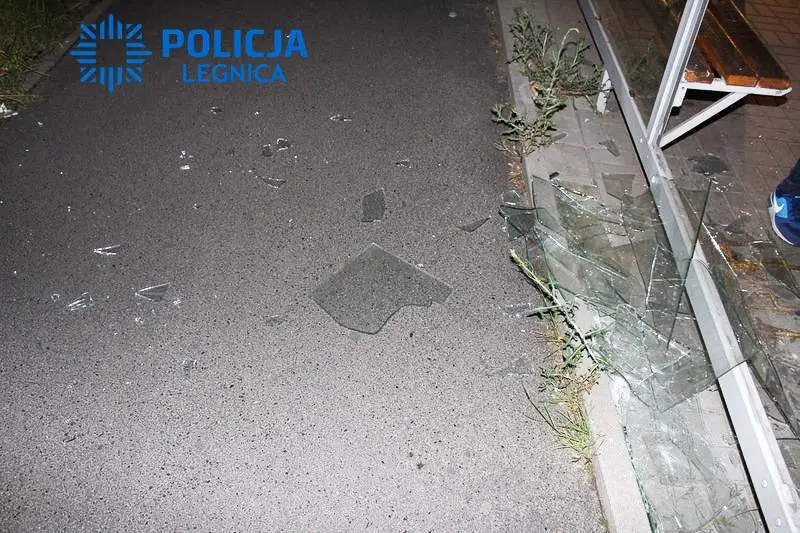 Pokłócił się z dziewczyną, więc… wyżył się na przystanku