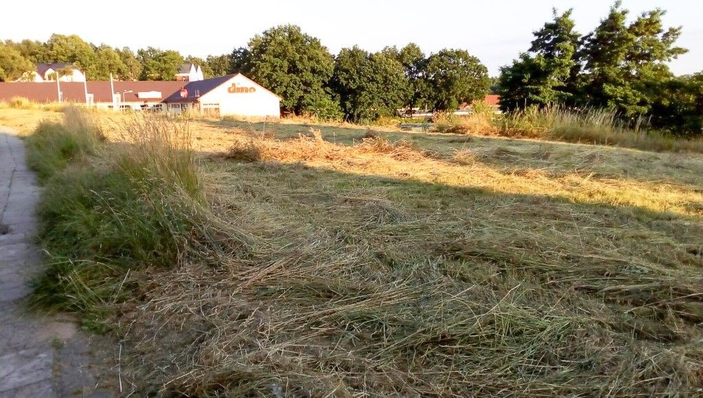 Skosili chaszcze przy Dino