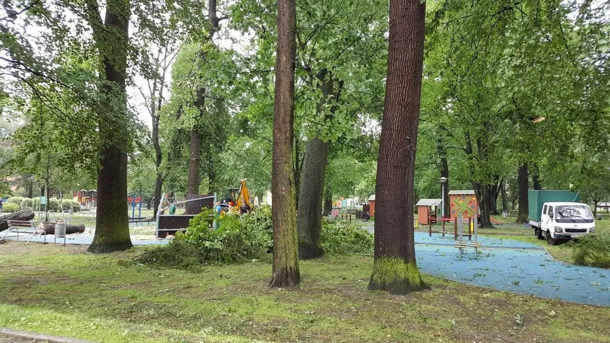 Służby sprzątają po nawałnicy