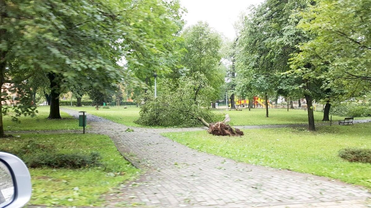 Służby sprzątają po nawałnicy