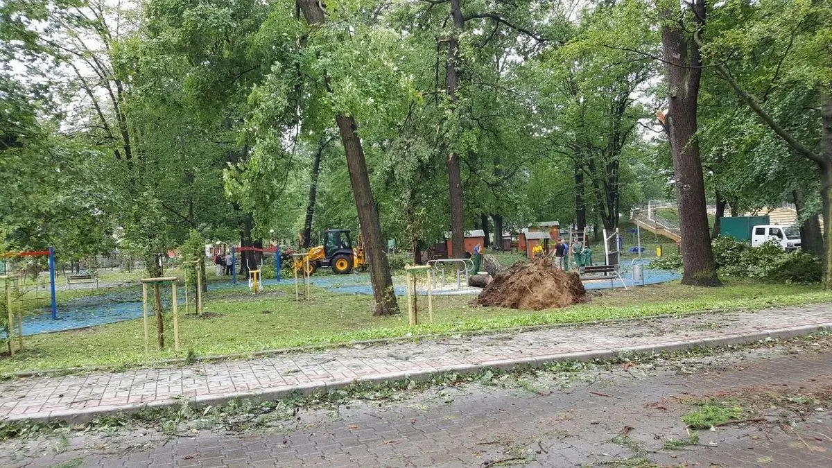 Służby sprzątają po nawałnicy