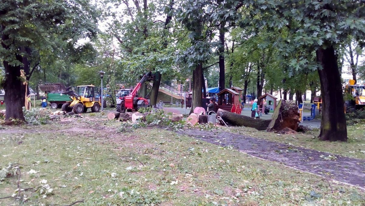 Służby sprzątają po nawałnicy