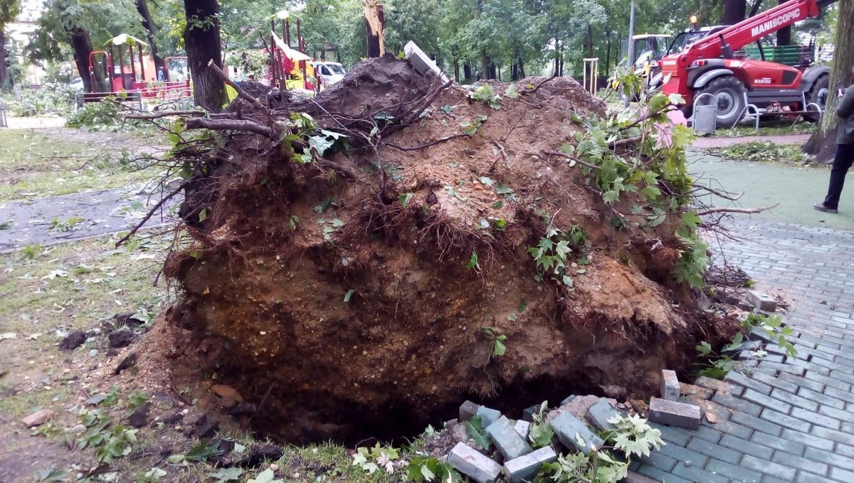 Służby sprzątają po nawałnicy