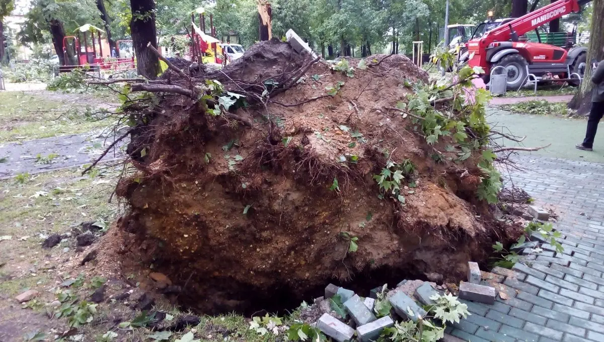 Służby sprzątają po nawałnicy