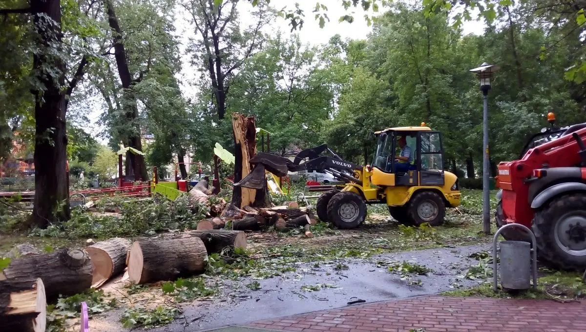 Służby sprzątają po nawałnicy