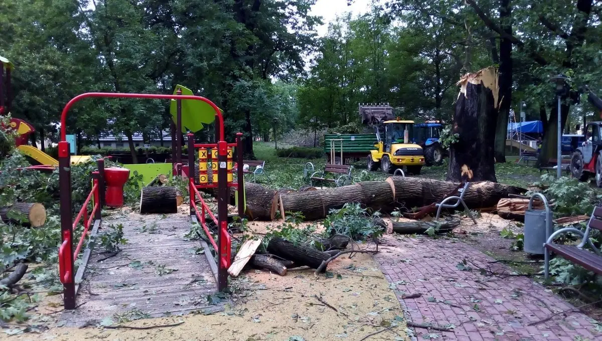 Служби прибирають після негоди