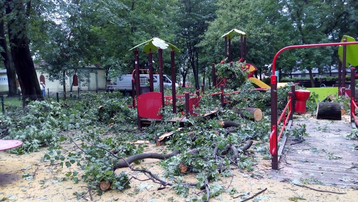 Służby sprzątają po nawałnicy