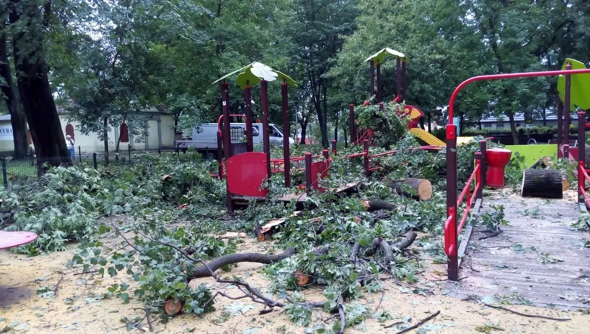 Służby sprzątają po nawałnicy