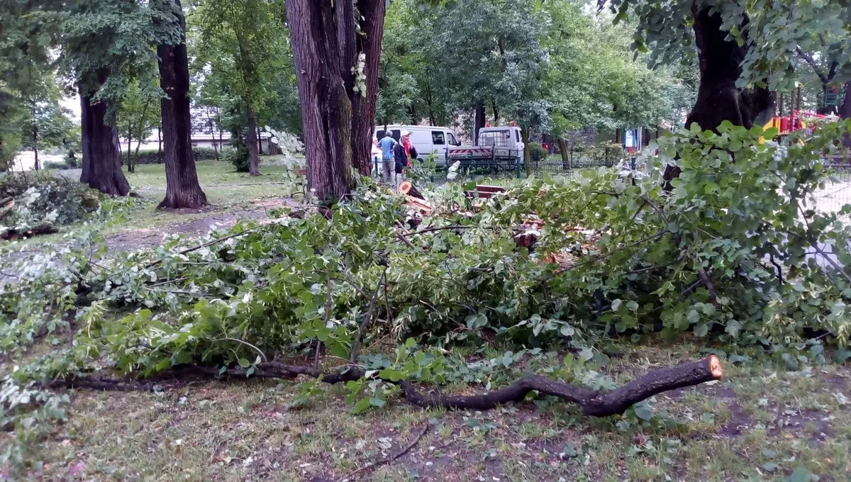 Services clean up after the storm