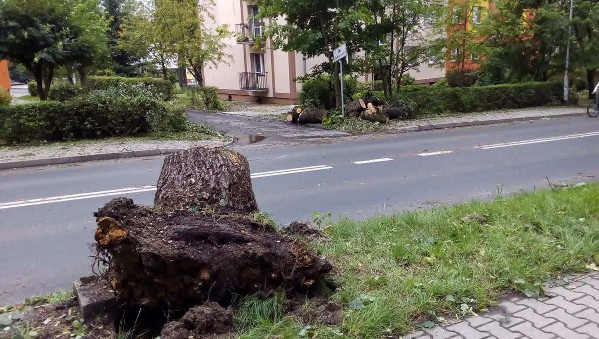 Служби прибирають після негоди
