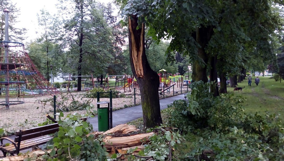 Służby sprzątają po nawałnicy