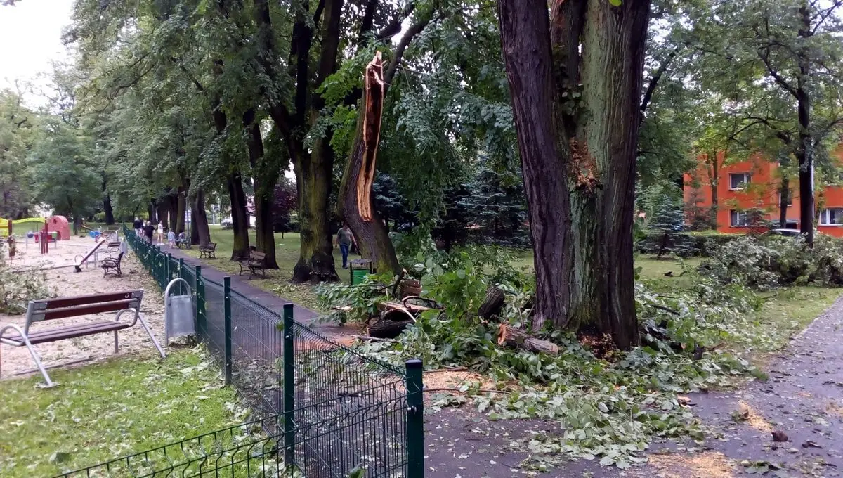 Służby sprzątają po nawałnicy