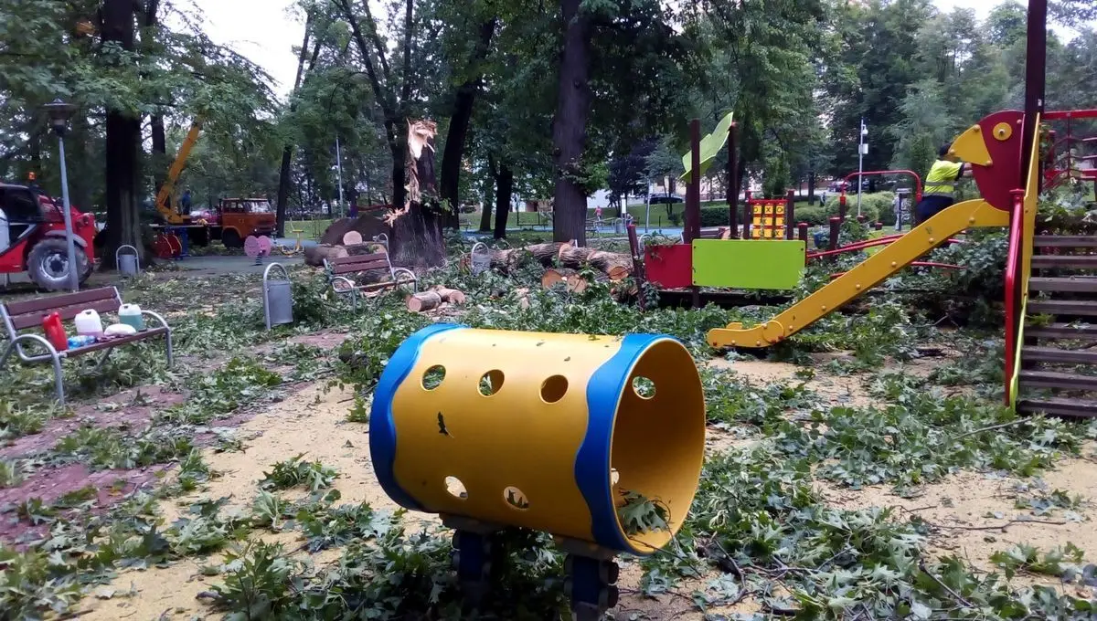 Служби прибирають після негоди