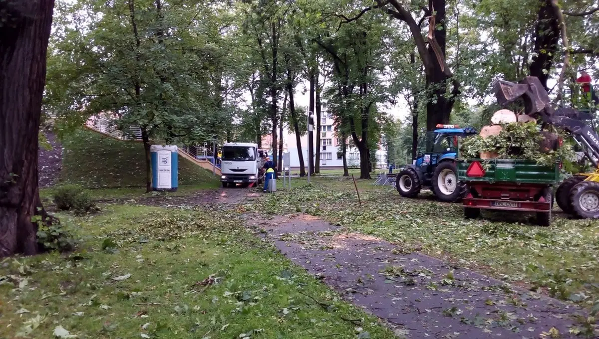 Служби прибирають після негоди